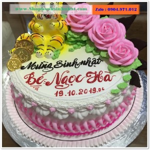 Bánh Sinh Nhật Sữa Tươi - AA95